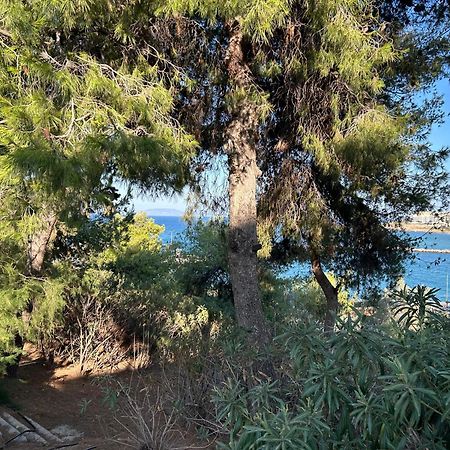 Stella'S Petite Boite Apartment Rafina  Luaran gambar